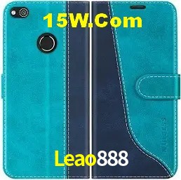 Sistemas de Segurança Leao888